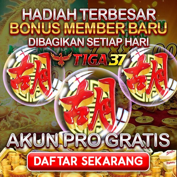 TIGA37 | Navigasi Ringan Yang Mudah Dipahami Pengguna Baru
